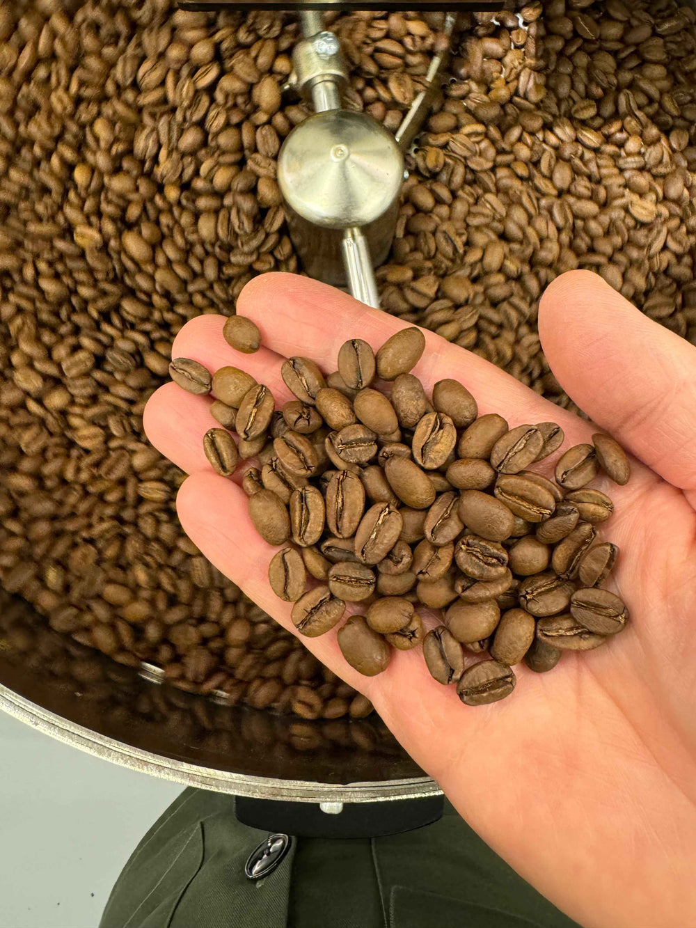 Bedeutung Specialty Coffee! - PHYSI