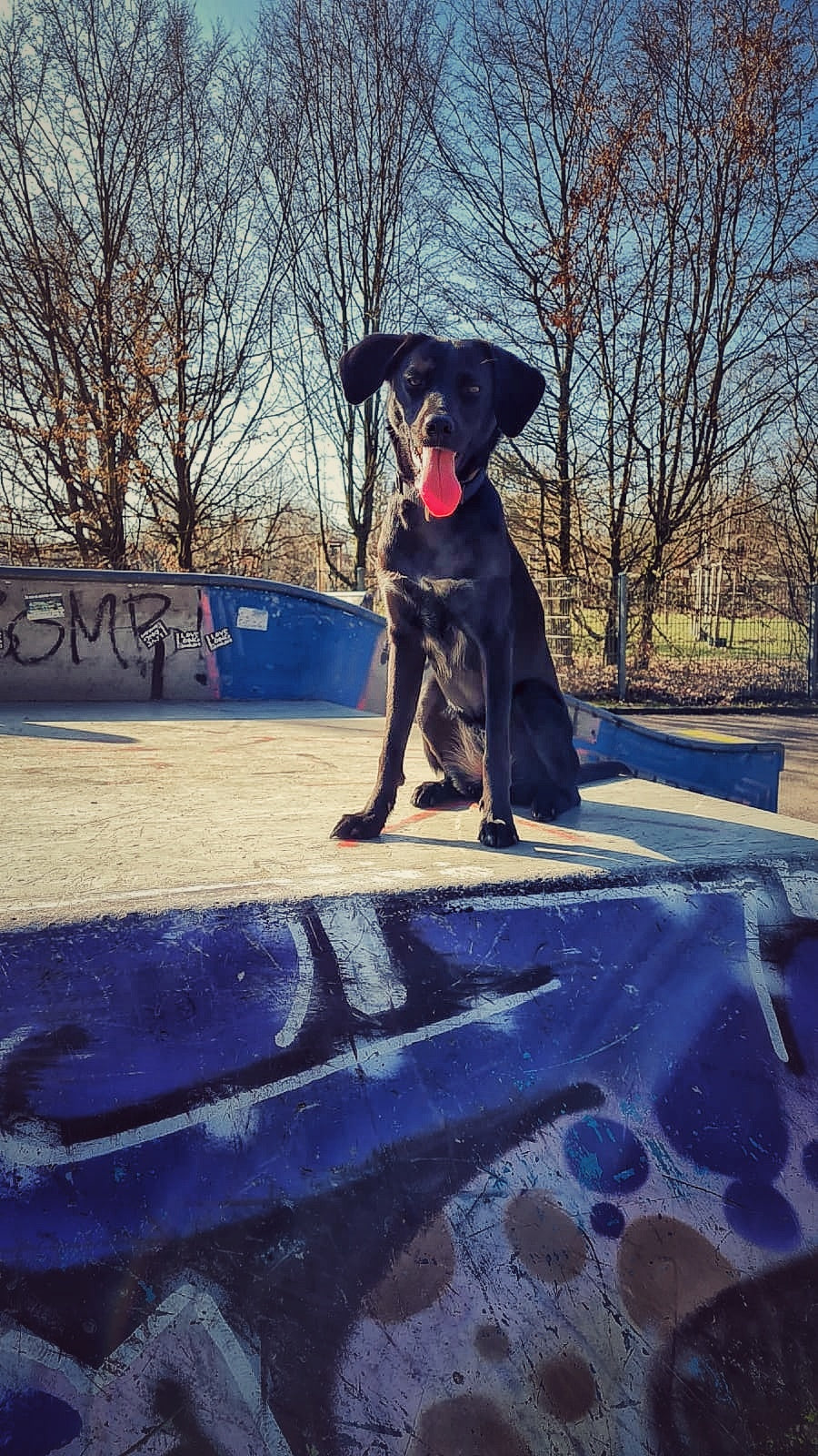 image in image with text