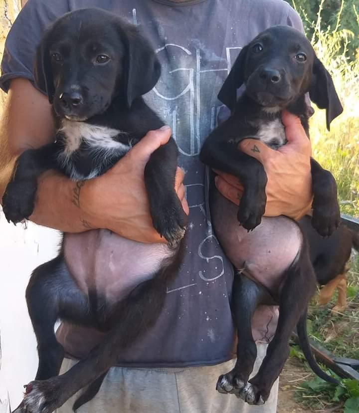 image in image with text